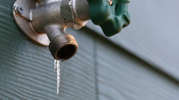 Best Shower Repair Services  in North Sarasota, FL