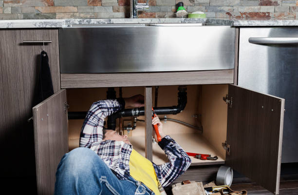 Best Local Plumber Services  in North Sarasota, FL